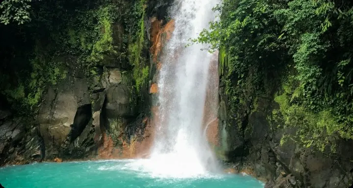 Waterfall pouring into a turquoise pool in dense jungle