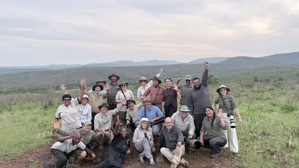Okapi group gathered on open savanna with local guides