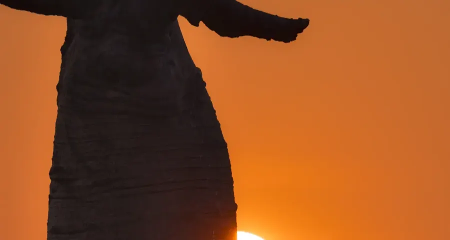 Setting sun framed behind the crown of a Grandidier's baobab
