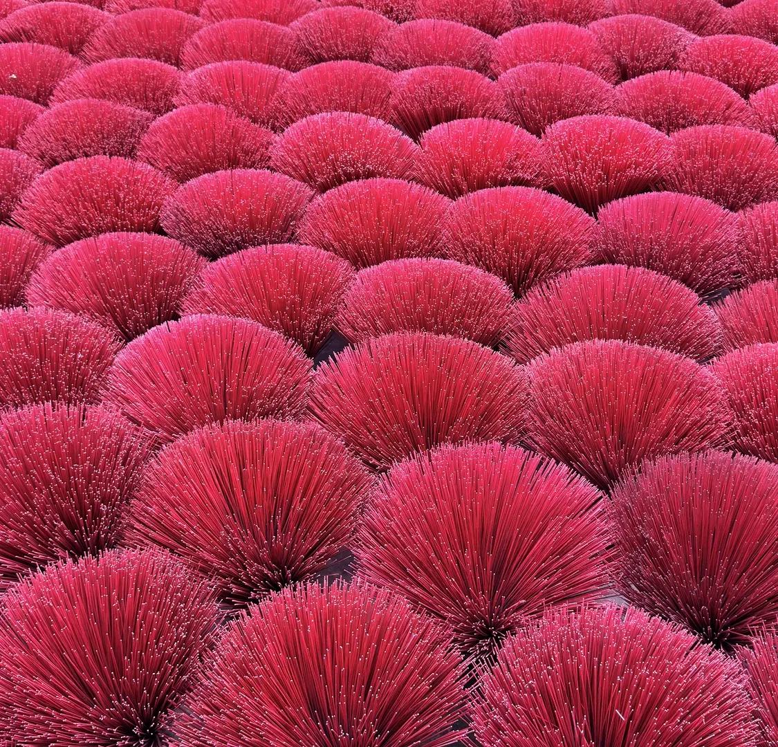 Rows of red incense bundles drying, photographed from above