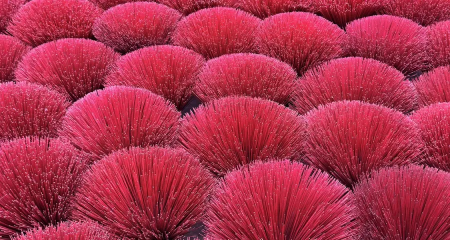 Rows of red incense bundles drying, photographed from above